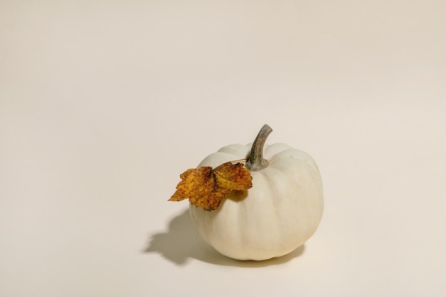 White whole uncooked decorative pumpkin with autumn dry leaves over beige background Autumn minimalist composition Copy space