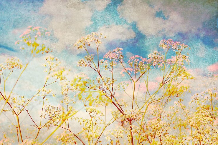 Photo 白い野生の花と青い空の芸術的なグランジの背景画像デザイン