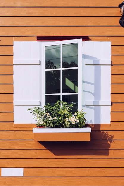 Foto finestra bianca aperta e fiore a casa