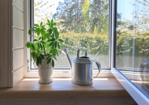 White window with mosuito net in a rustic wooden house