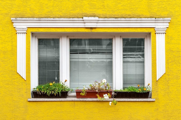 White window on a yellow wall Facade of an apartment house with decorative elements