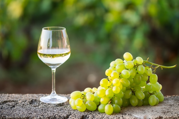 Vino bianco nel bicchiere e un grappolo di uva bianca