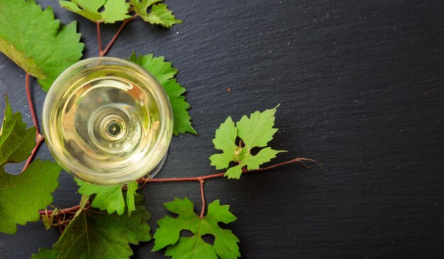 White wine glass and fresh grape leaves on black background copy space