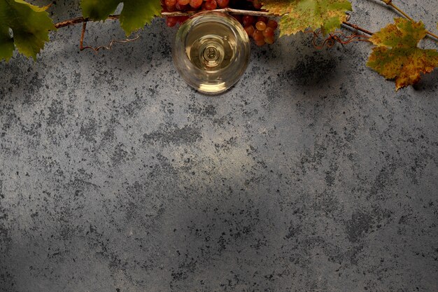 White wine in a glass, grapes and grape branches on the table. Top view. Copy space for you text.