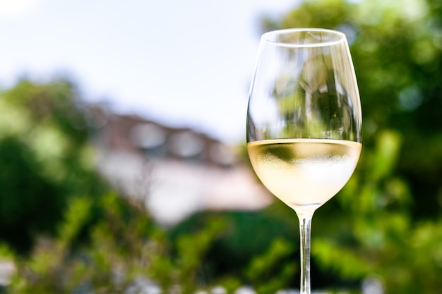 White wine in luxury restaurant on summer garden terrace wine tasting experience at winery in the vi...