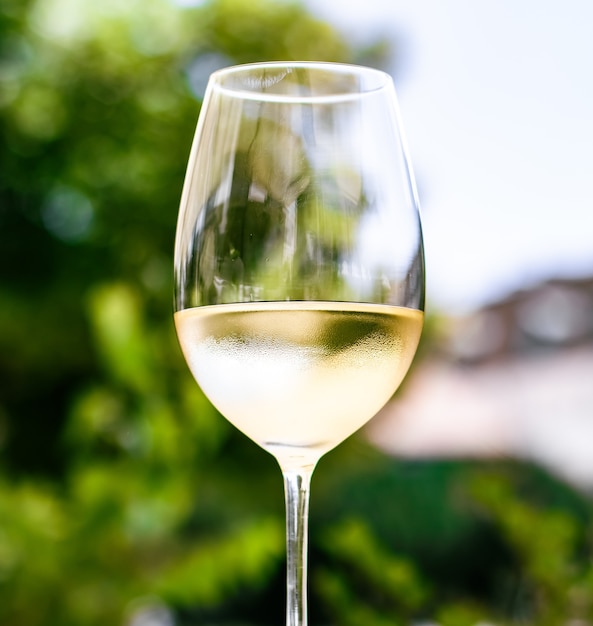 White wine in luxury restaurant on summer garden terrace wine tasting experience at winery in the vi...