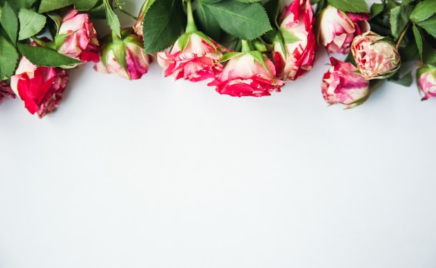 White with roses along the top edge