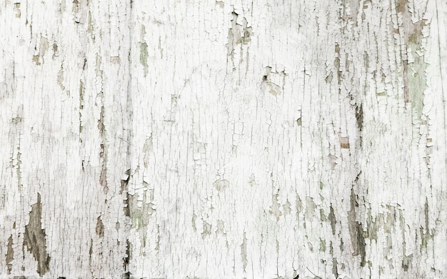 写真 白い木質の背景