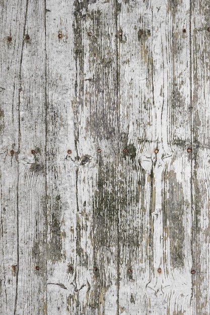 White wood texture with traces of peeling and mold Ideal for textures backgrounds and concepts