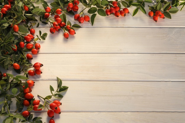 white wooden background with rose berries and copy space