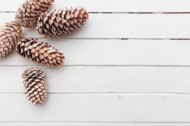 White wooden background with snow covered pinecones.