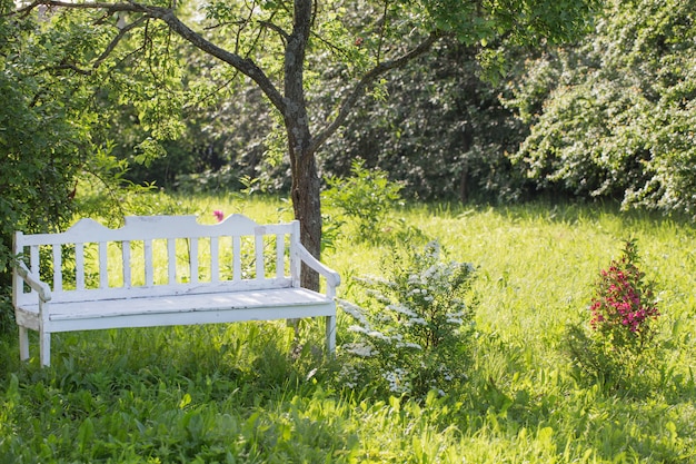Белая деревянная скамья в летнем саду