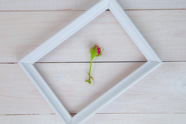 A white wooden frame lies diagonally on a white wooden background inside