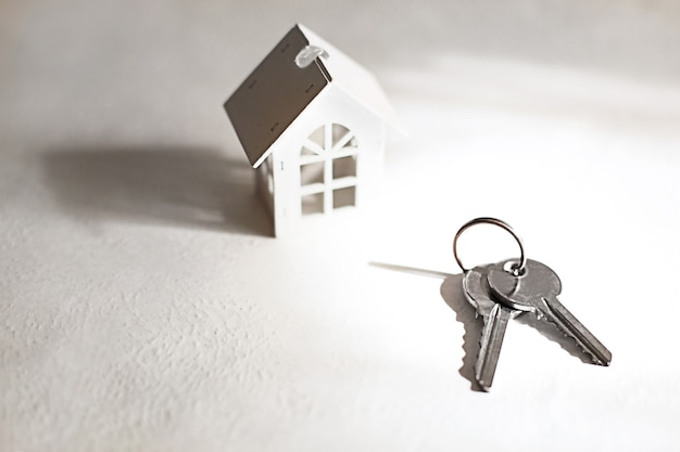 White wooden house symbol and keys on a gray background