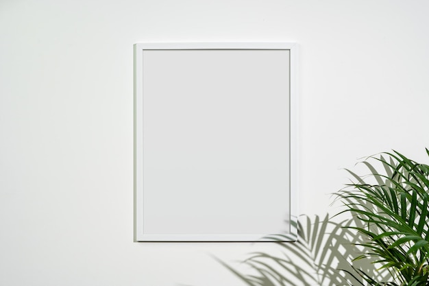 White wooden photo frame with plant leaves on white background