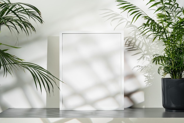 White wooden photo frame with plant leaves on white background