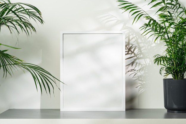 White wooden photo frame with plant leaves on white background