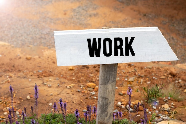 Photo white wooden signpost with the word job