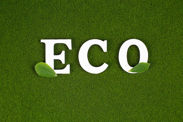 Photo white wooden words eco and green leafs over green grass