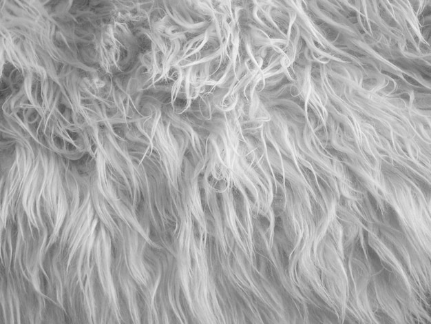 White wool texture background