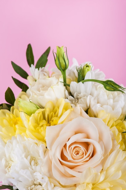 White and yellow chrysanthemum