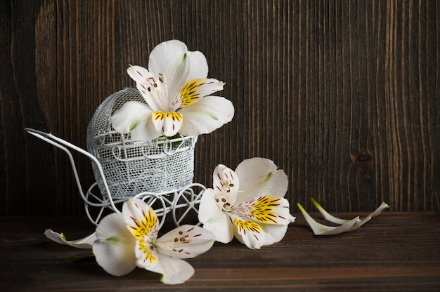 White yellow lilly flowers