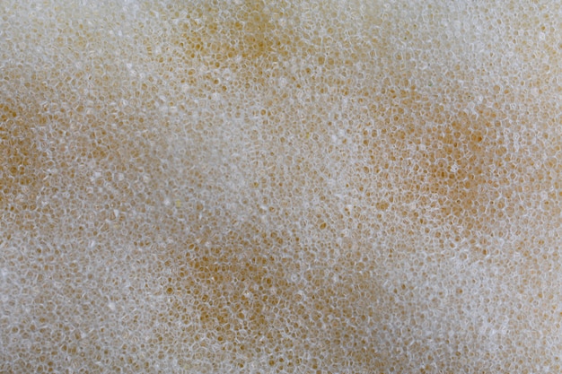 White and Yellow Sponge Texture