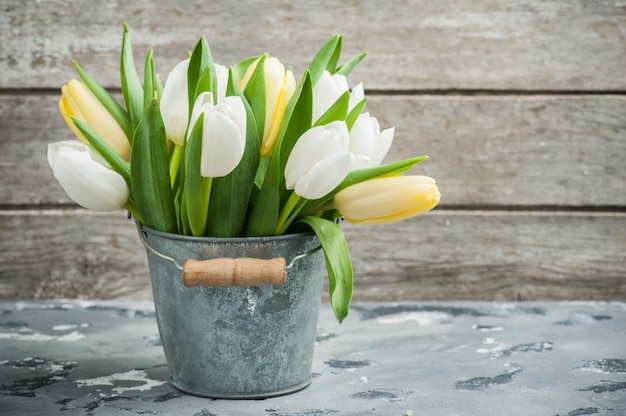 White and yellow tulips in tin bucket 