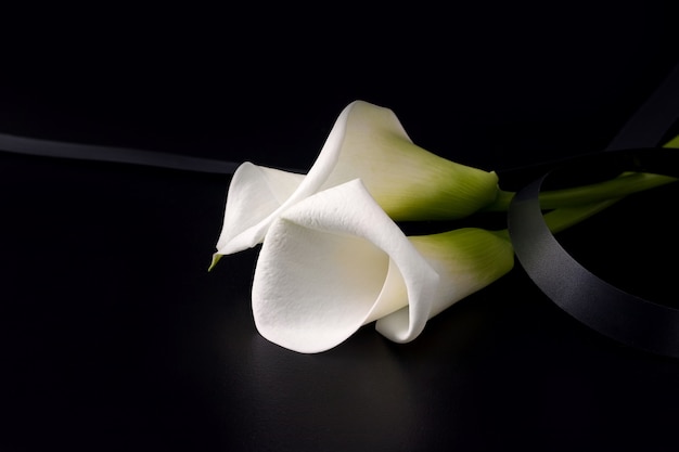 White Zantedesia flowers with mourning ribbon on black