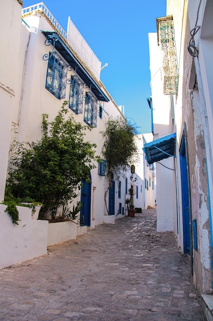 Whiteblue city of Sidi Bou Said 튀니지 북아프리카