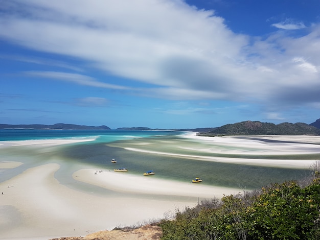 Foto spiaggia di whitehaven - tropical beach paradise