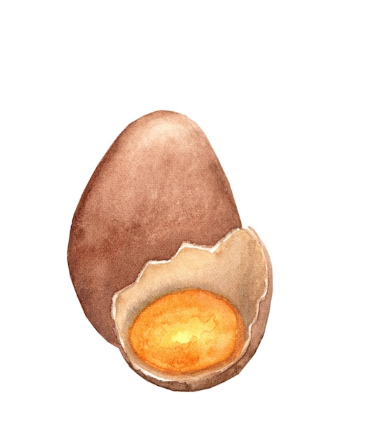 Photo whole and broken chicken egg