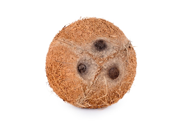 Whole coconut isolated on white background. De-husked coconut fruit showing the characteristic three pores.