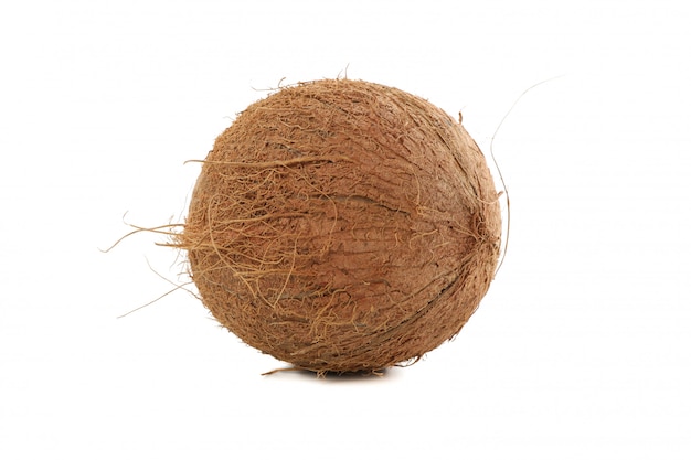 Whole coconut isolated on white. Tropical fruit