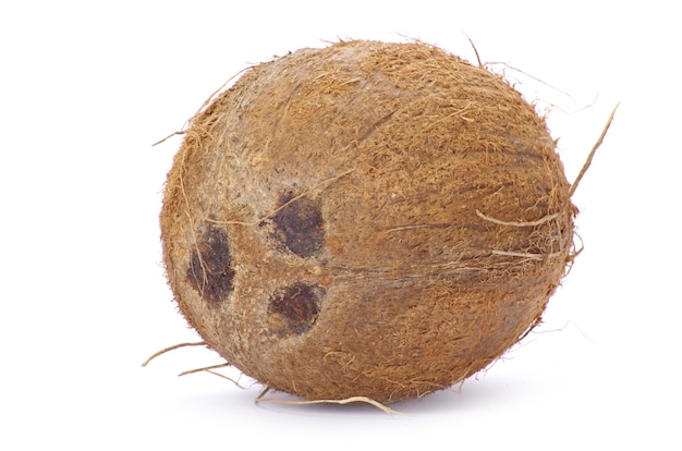 Whole coconut