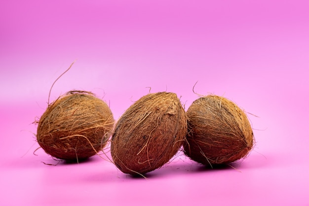 ピンクの背景にココナッツ全体。3つの毛むくじゃらのココナッツが孤立した背景に横たわっています。