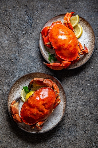 Whole cooked crabs on white plate with lemon and beer Gray concrete background Top view