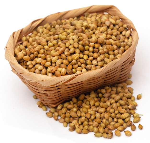 Whole coriander over white background