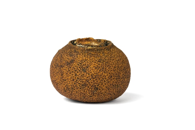 A whole dried orange filled with tea isolated on a white background.