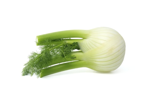 Whole fennel bulb lying on its side isolated on white background