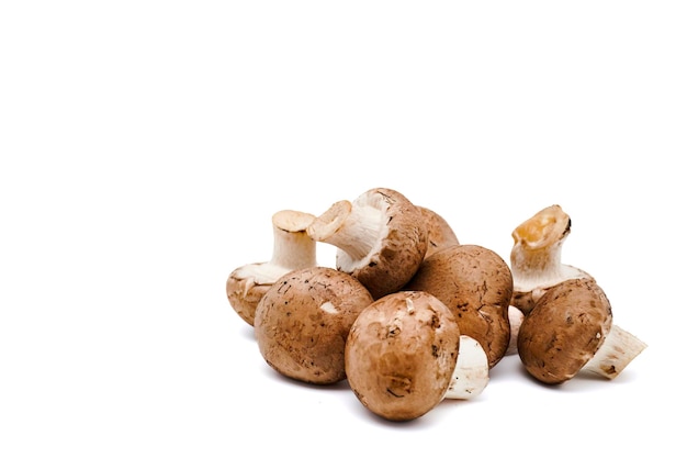 Whole fresh champignon mushrooms isolated on white with copy space