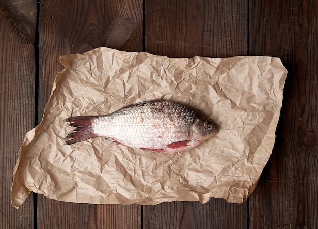 Whole fresh crucian fish with scales on a crumpled brown piece of paper