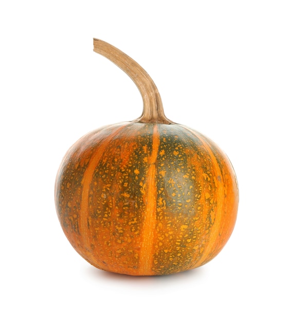 Whole fresh pumpkin