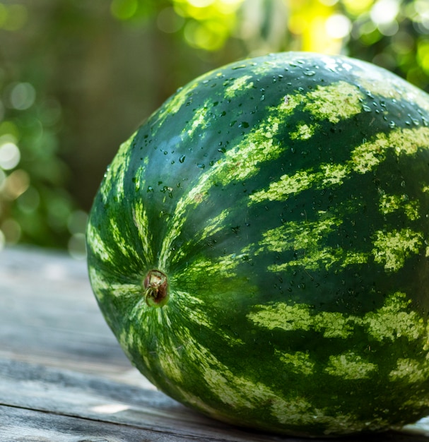 Whole green watermelon on a wooden table