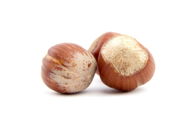 Whole hazelnuts isolated on white background