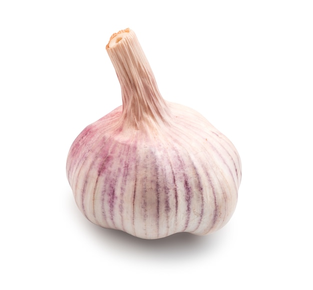 Whole Head of Garlic Isolated