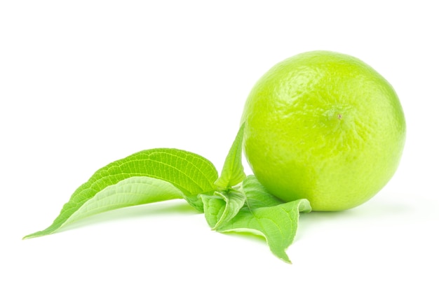 Whole lime with leaf isolated on white background cutout.