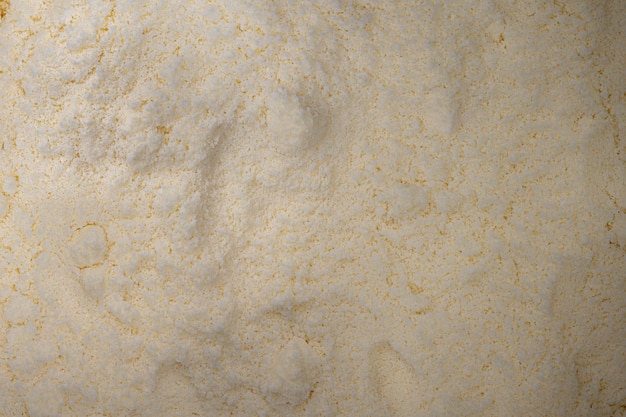 Whole milk powder texture in macro view