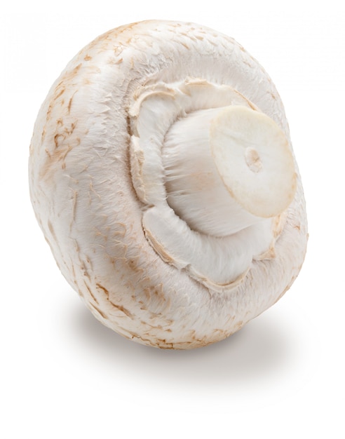 Whole mushroom (champignon, cut foot, Agaricus Bisporus) and raw. Isolated on white background