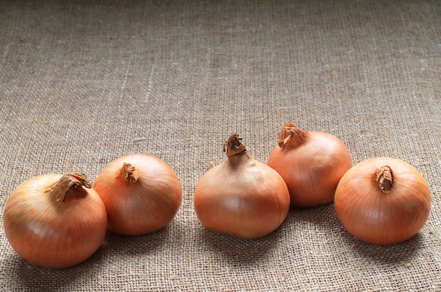 Whole onions on a background of burlap close up